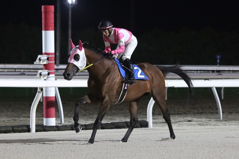 ケイアイパープル