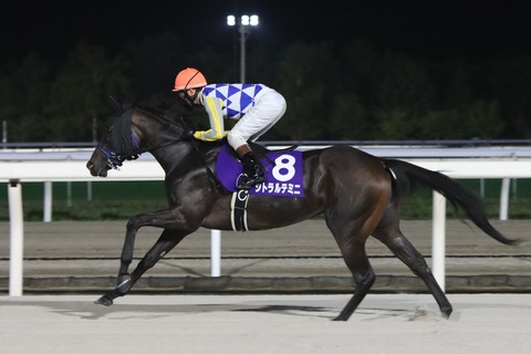 シトラルテミニ