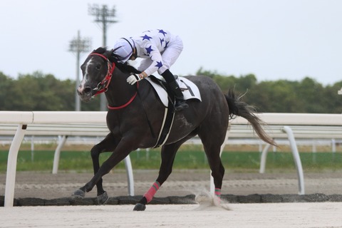 ヴィルユキヒメ