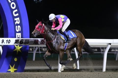 トゥルスウィー／サファイア特別