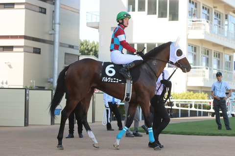 パルヴェニュー01