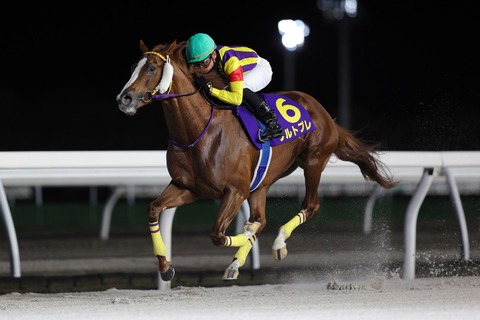 2023道営記念優勝馬・シルトプレ