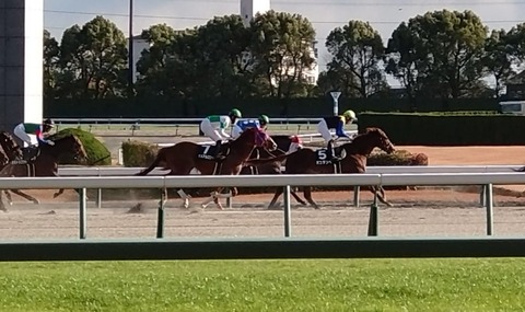 デュアルロンド_03