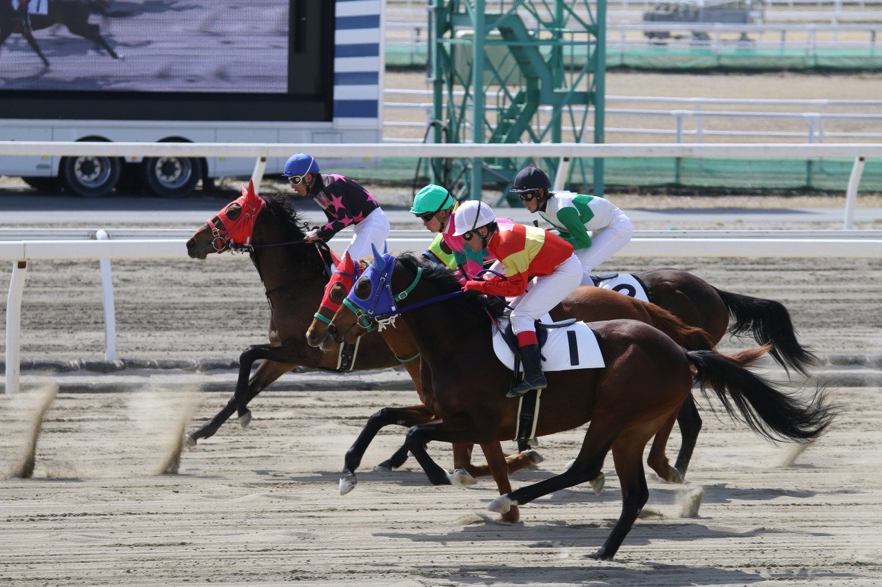 門別 競馬 予想