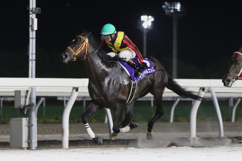2023グランシャリオ門別スプリント優勝馬・スペシャルエックス
