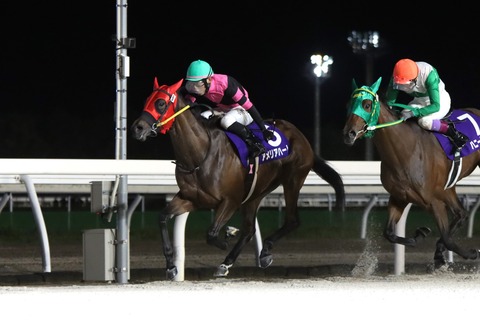 2023フローラルカップ優勝馬・アメリアハート