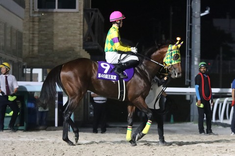 ウィルオレオール