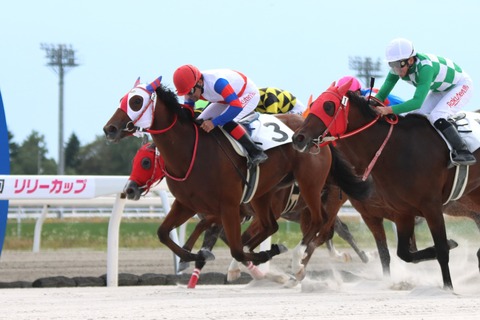 ヴィルミーキスミー