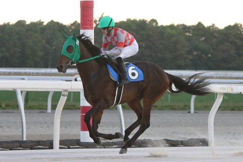 トーアサジタリウス