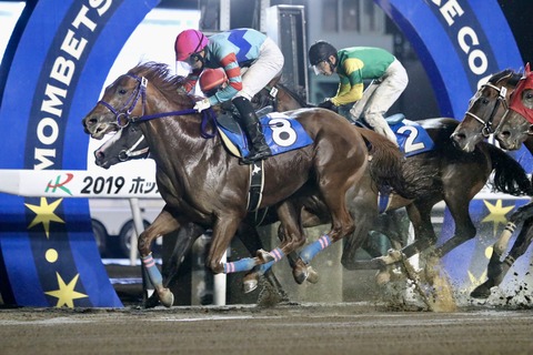 ヒガシウィルウィン