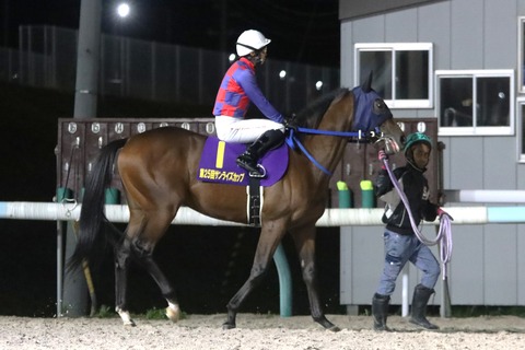 モエレサワンミヤギ