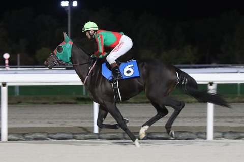 ハッピータレイア