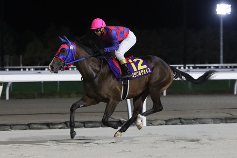 ミラクルヴォイス