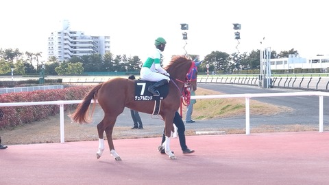 デュアルロンド_02