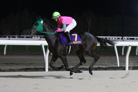 トーアサジタリウス