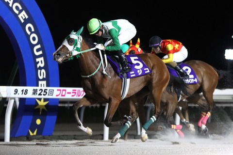 2025フローラルカップ優勝馬・ニジコ