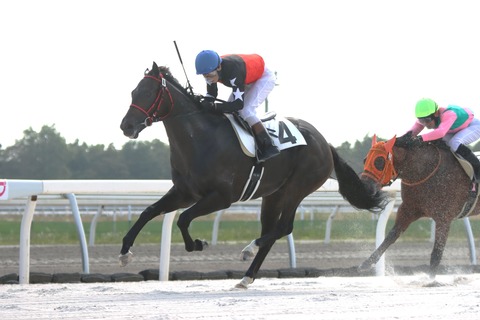 レヴェルトディオ