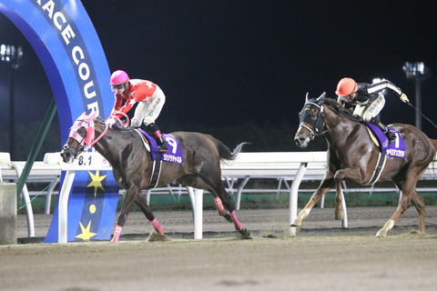 IMG_7696 (2020-01-27T05_43_14.017)