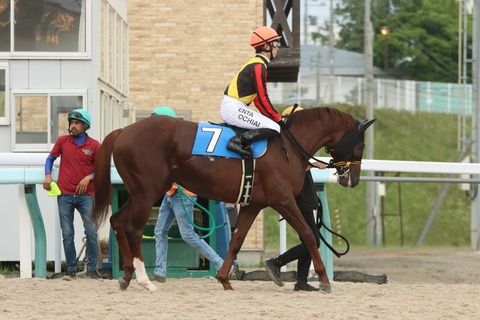 キングミニスター
