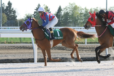 メモリーメイラード