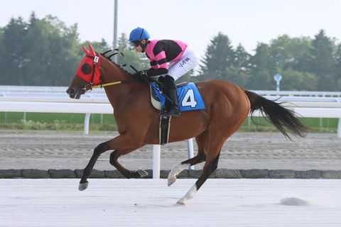 ノリノリブリランテ