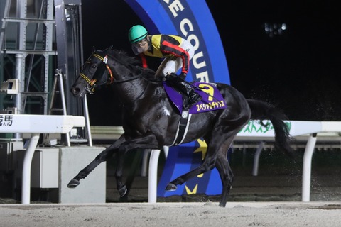 2025ネクストスター門別優勝馬・スペシャルチャンス