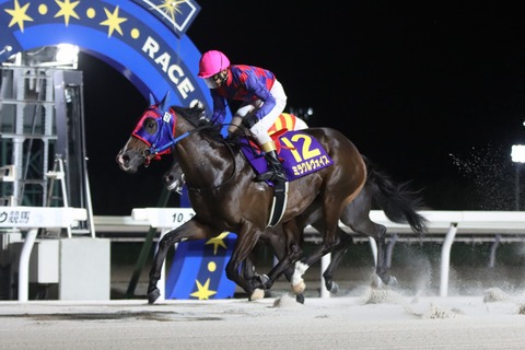 10/3メインレースレポート】⑫ミラクルヴォイス（牡2＝佐久間雅貴厩舎