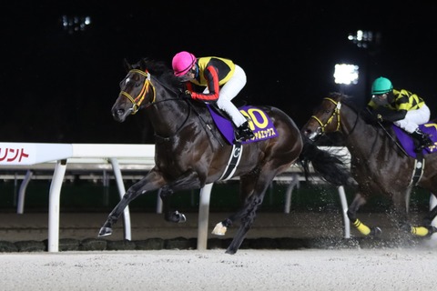 2024道営スプリント優勝馬・スペシャルエックス