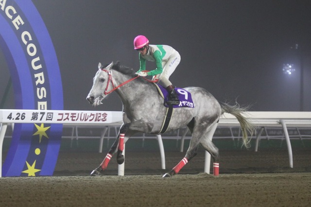 昨年のコスモバルク記念優勝馬・オヤコダカ