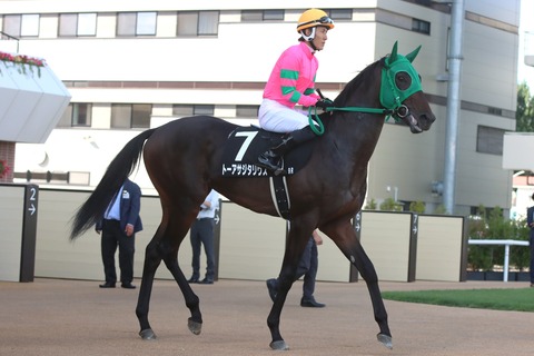 トーアサジタリウス