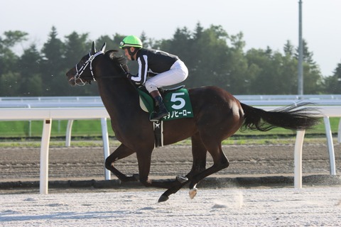 キタノヒーロー