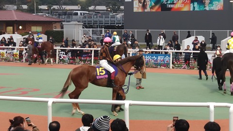 モズミギカタアガリ