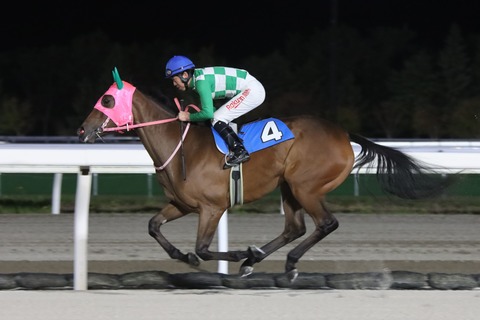 リコーシュペル