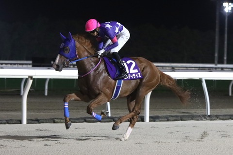 ミスティライズ