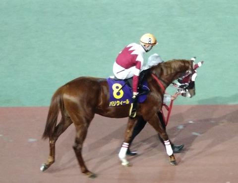 バリウィール01