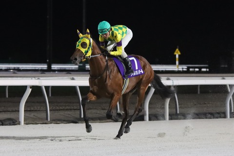 ウィルオレオール