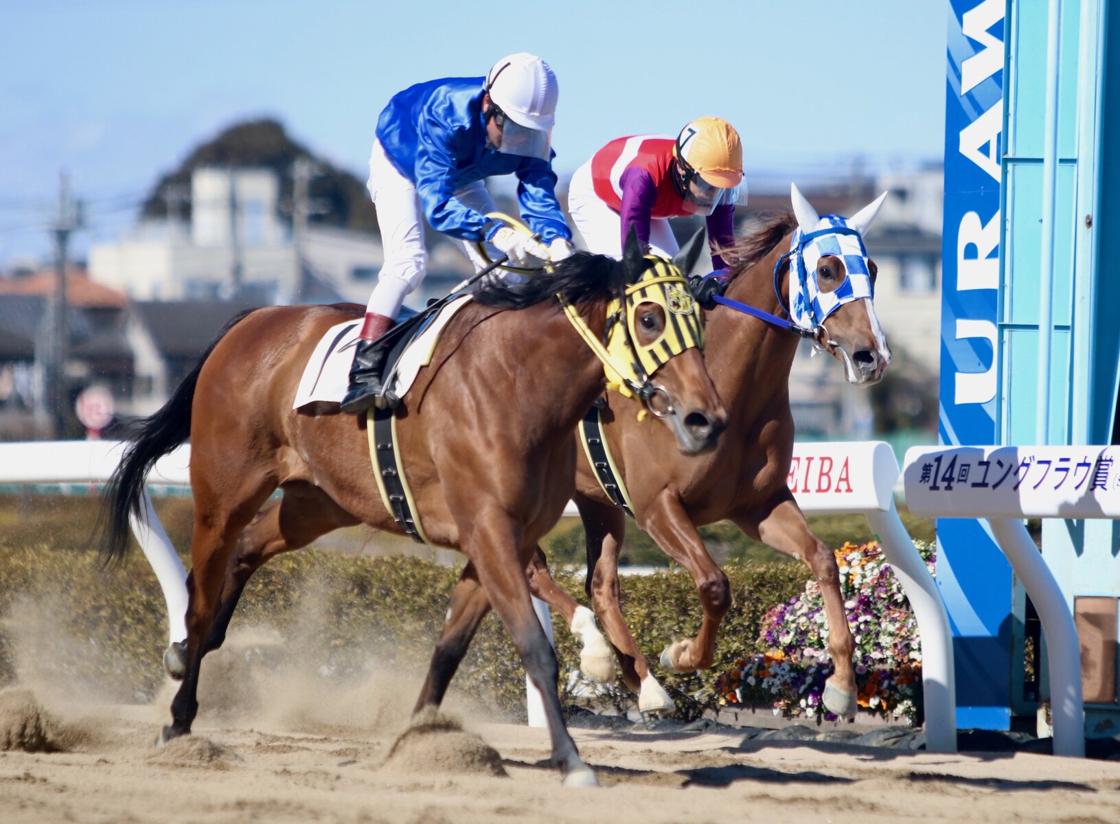 昨日 第14回ユングフラウ賞s 桜花賞tr に続き 門別デビュー3歳 またまたワンツーフィニッシュ V がんばれ ホッカイドウ競馬 Blog