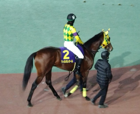 ウィルオレオール01