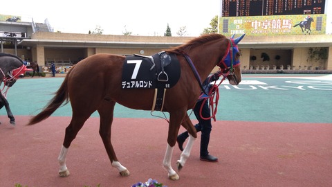 デュアルロンド_01