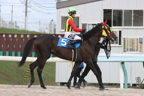 クラウニングカップ