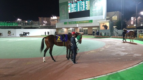 ブラックバトラー