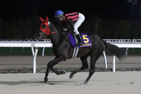 エイシンマジョリカ