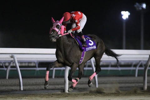 2019年北斗盃優勝・リンゾウチャネル