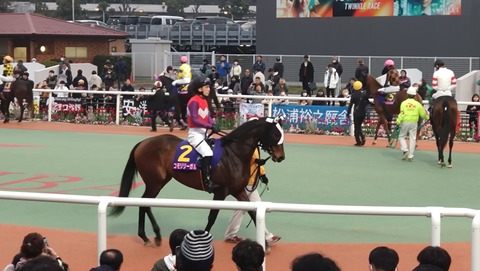 コモリリーガル