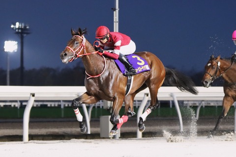 2023JBC2歳優駿優勝馬・フォーエバーヤング