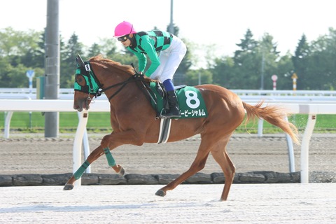 ビービーシャルム