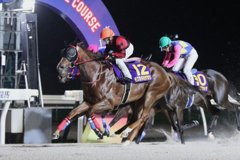 2023エーデルワイス賞優勝馬・モズミギカタアガリ