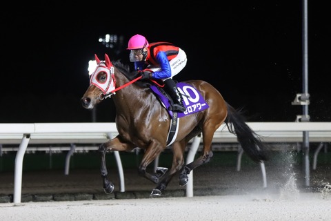 2024ブロッサムカップ優勝馬・ゼロアワー