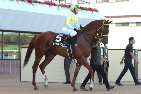 エイシンキャプテン01