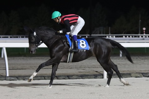 エイシンナデシコ